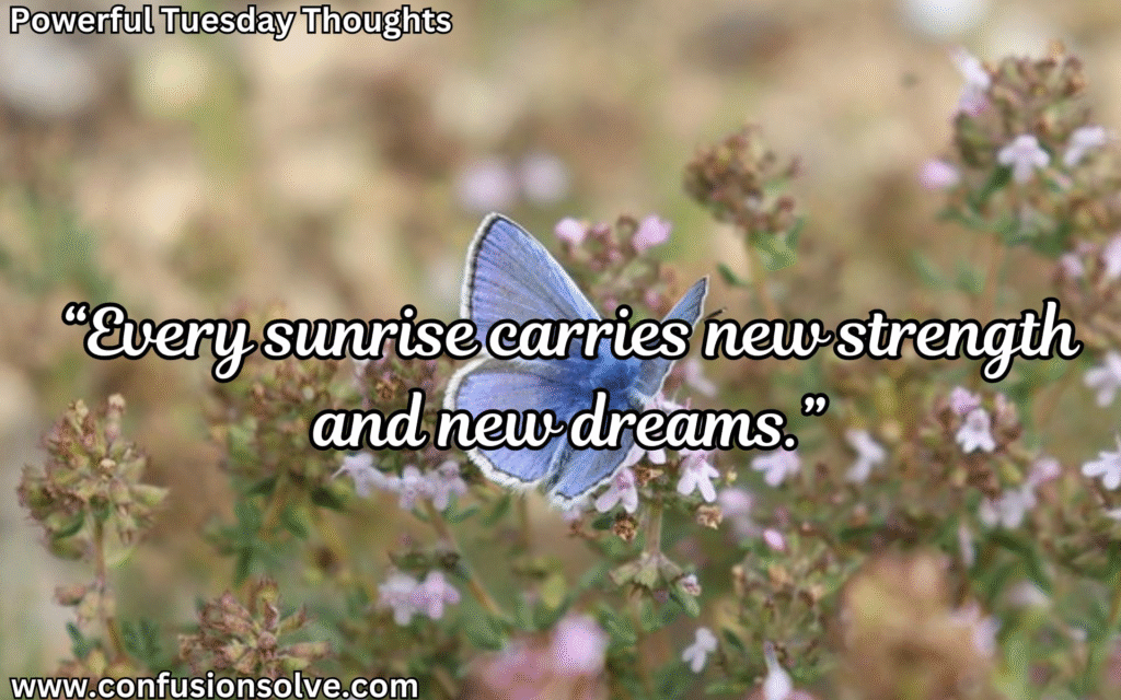 Positive Tuesday quotes