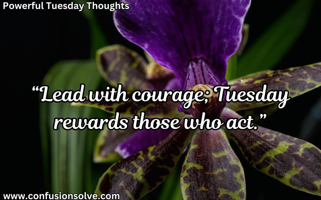 Inspirational Tuesday quotes