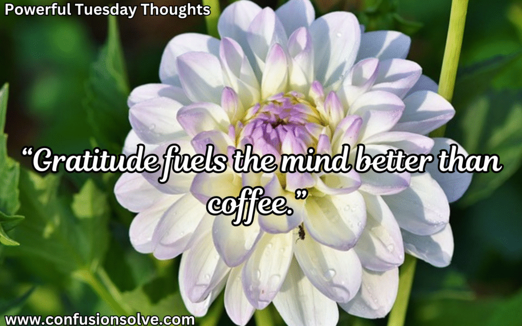 Tuesday motivation messages