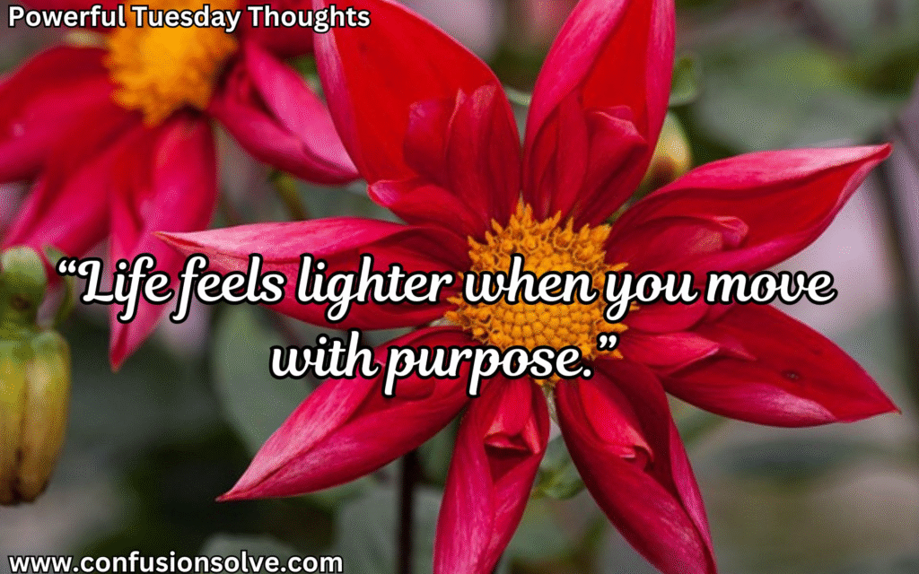 Tuesday quotes for success
