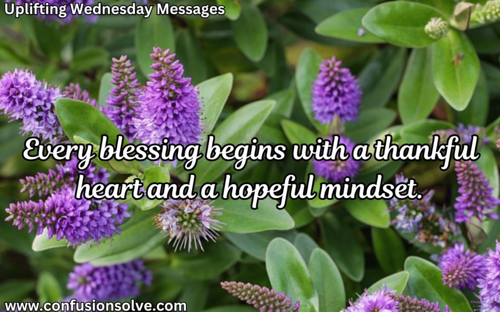 Wednesday wishes