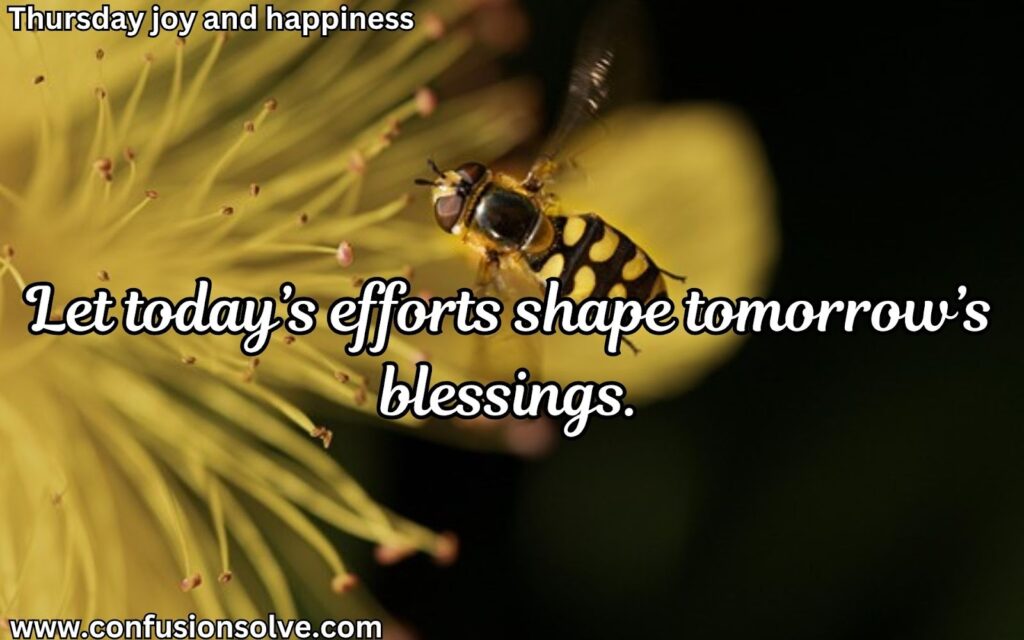 Thursday motivational quotes