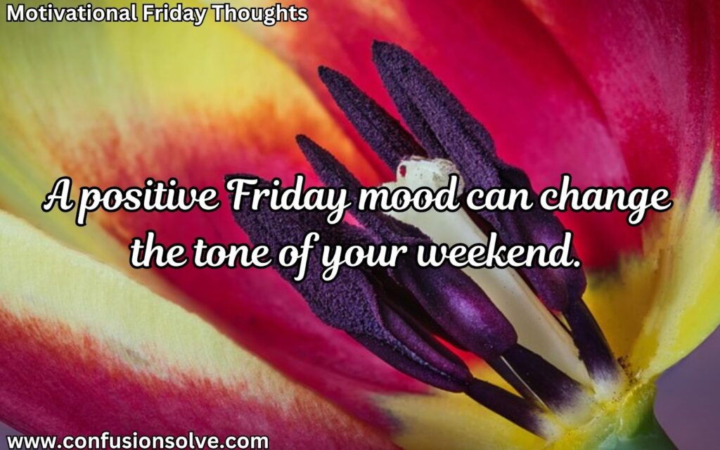 Funny Friday quotes