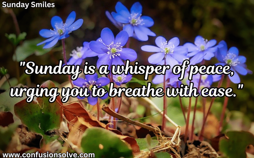 Sunday Motivational Quotes