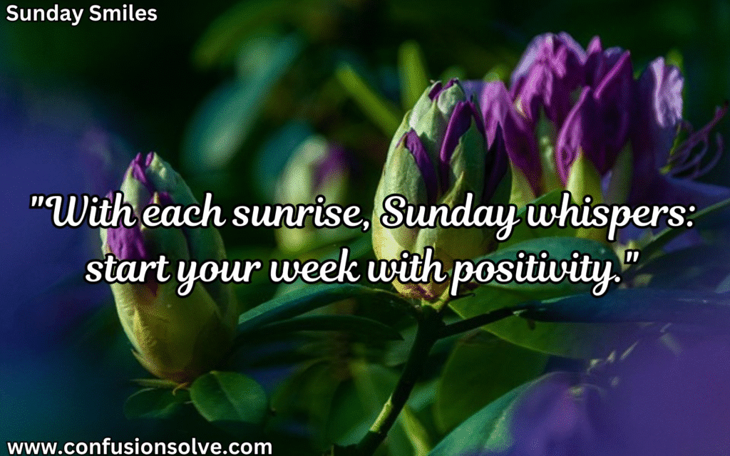 Sunday Success Quotes