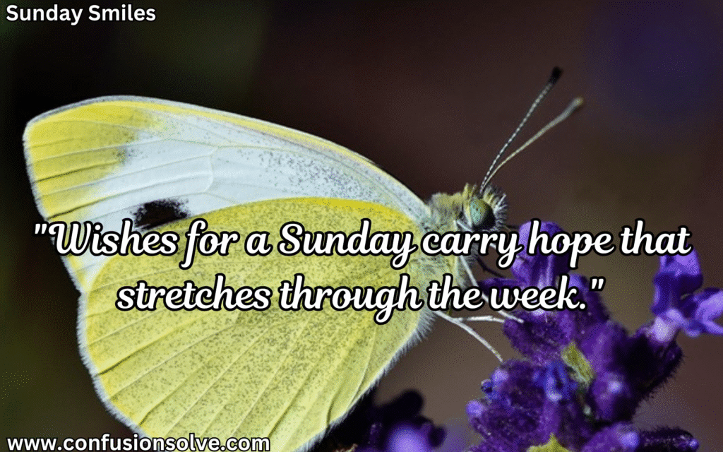 Peaceful Sunday Quotes