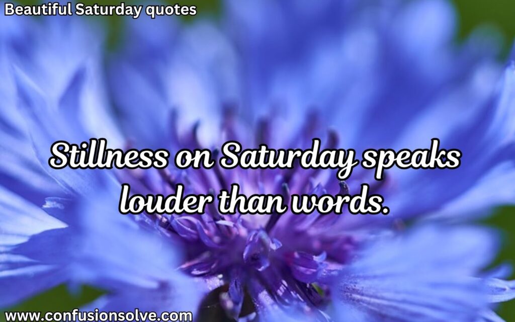 Saturday night quotes