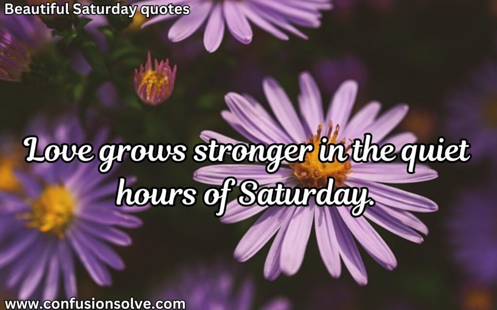 Saturday vibes