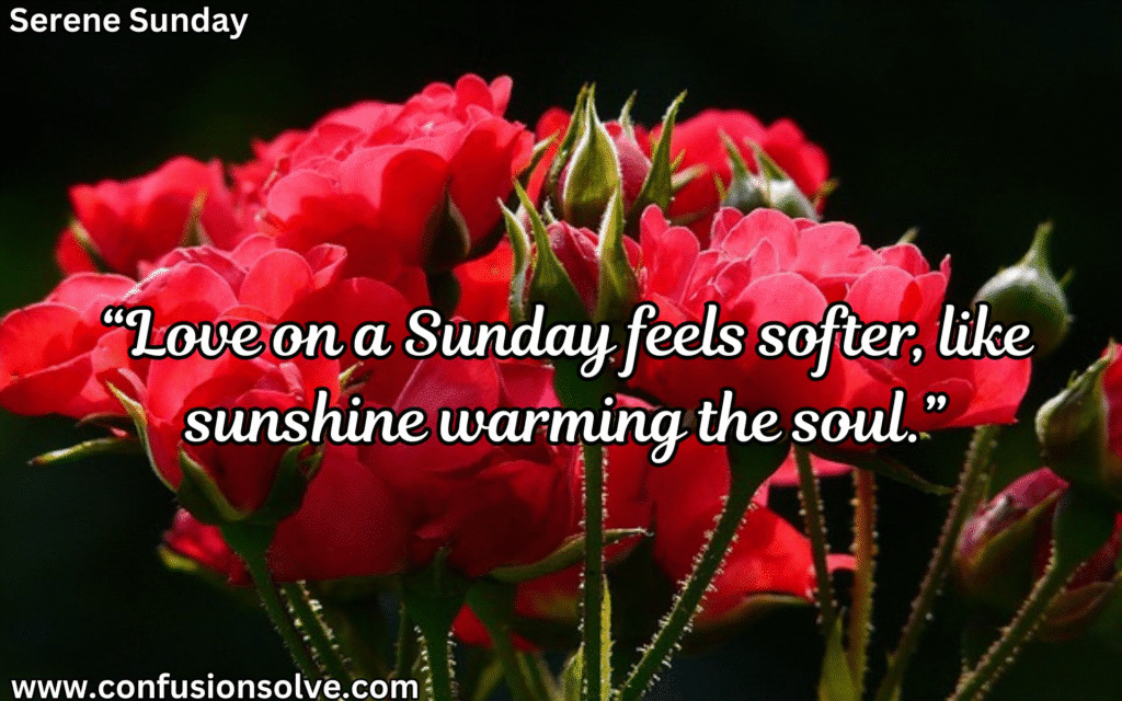 Happy Sunday Quotes