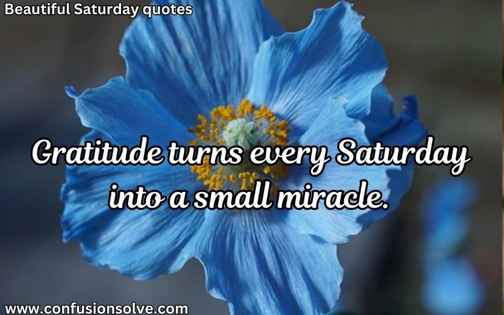 Saturday greetings