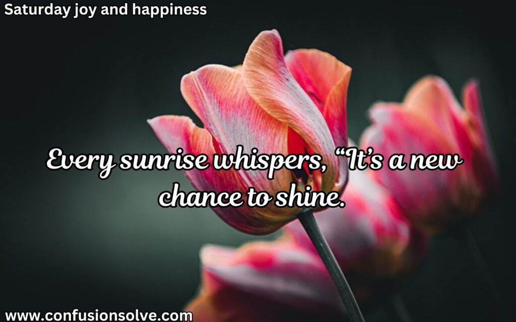 Saturday quotes