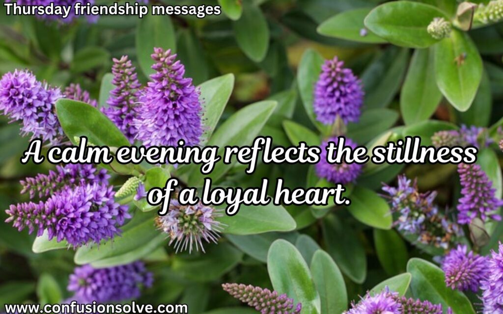 good evening messages for long-distance friend