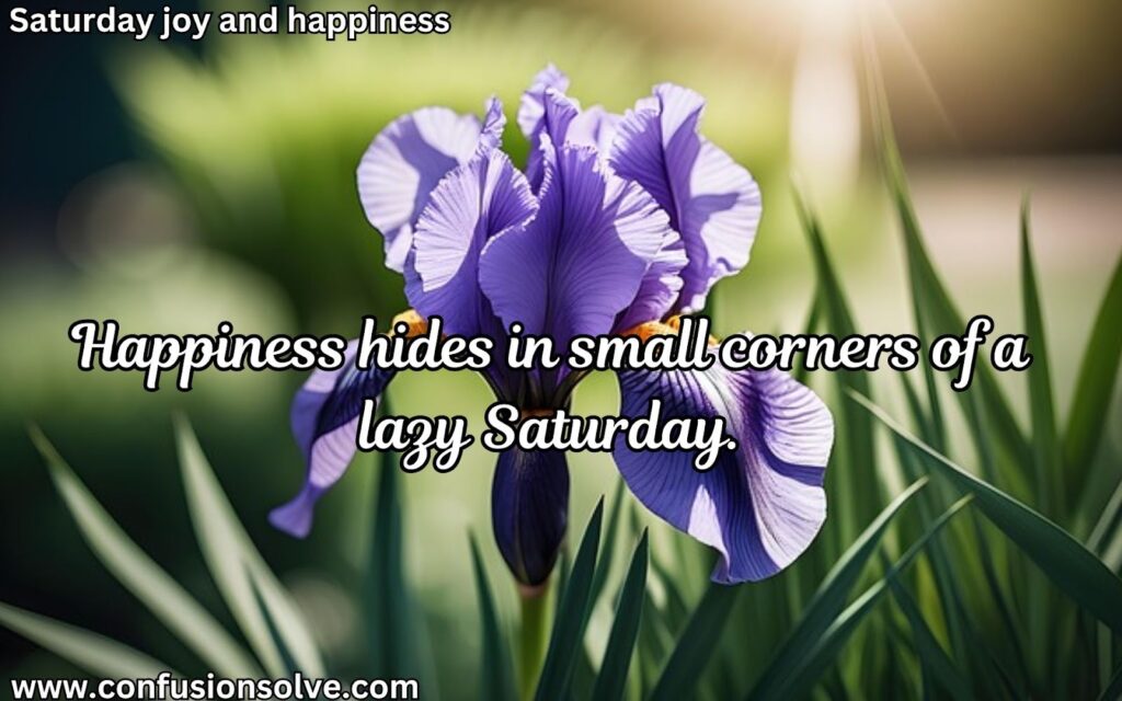 Happy Saturday quotes