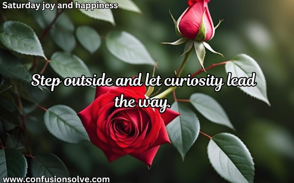 Positive Saturday sayings