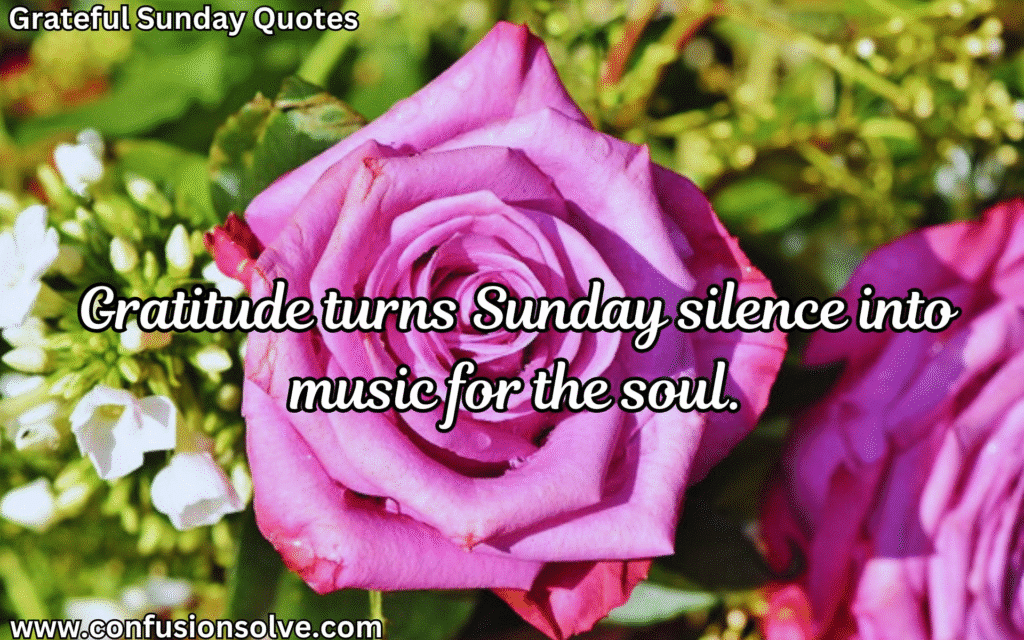 Gratitude quotes