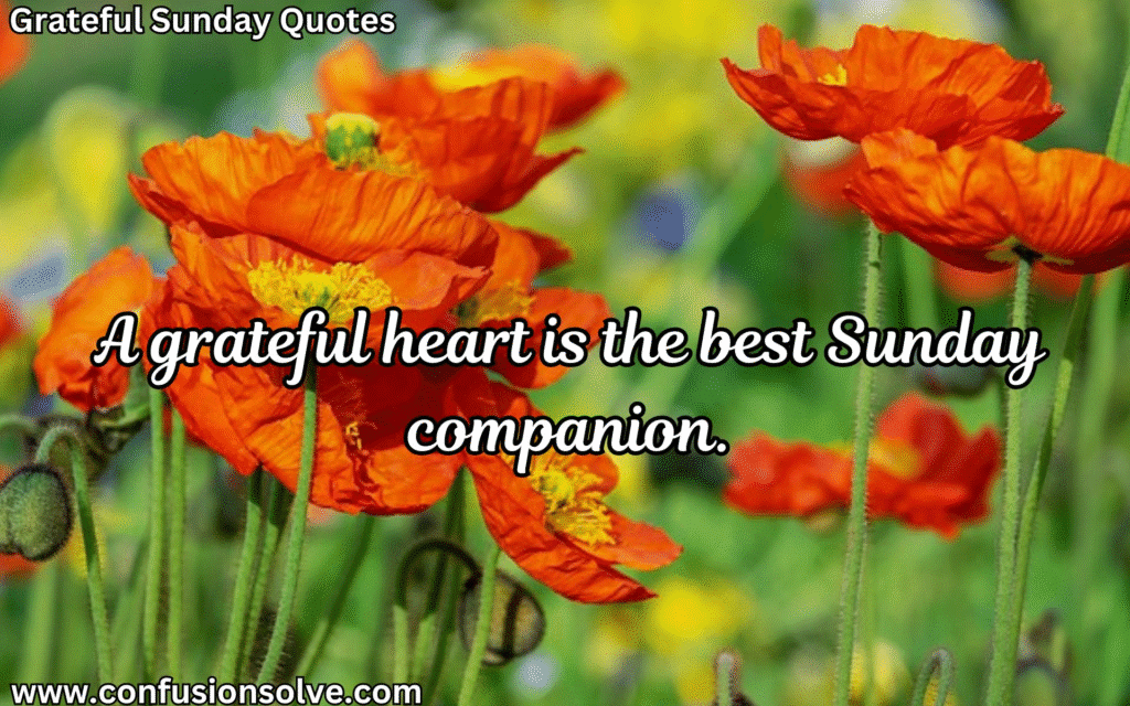 Inspirational gratitude quotes
