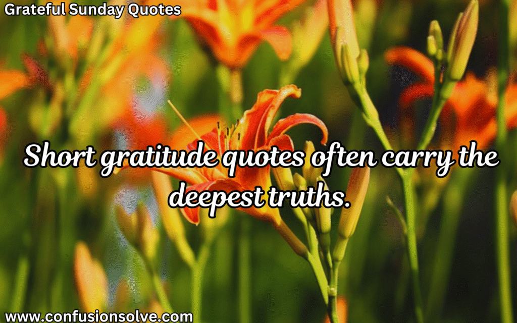 Gratitude sayings