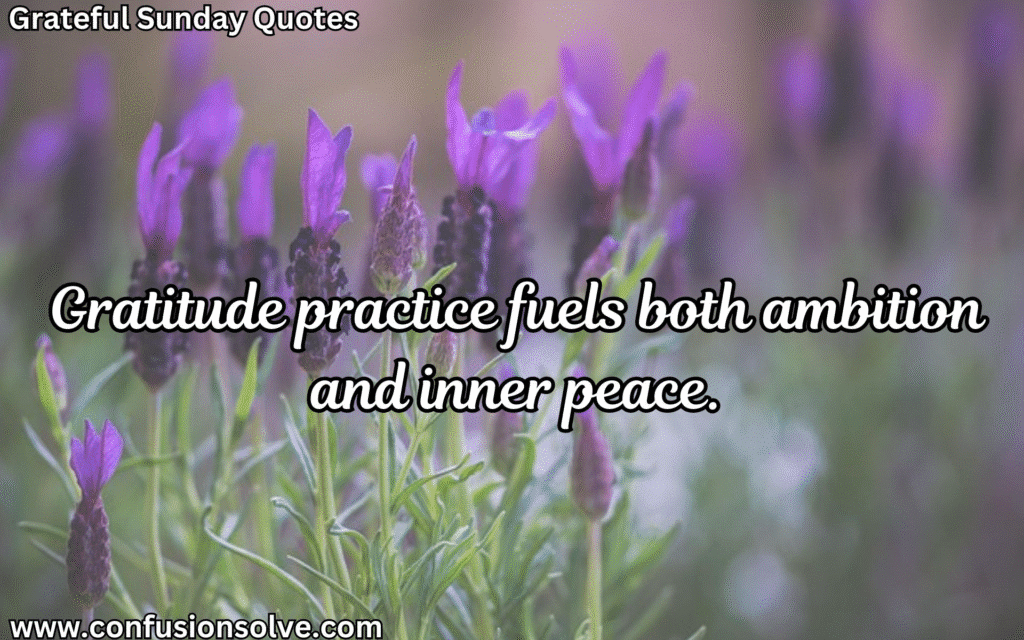 Famous gratitude quotes