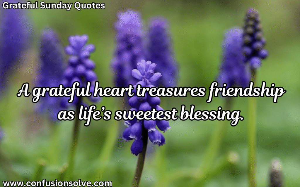 Gratitude quotes for life