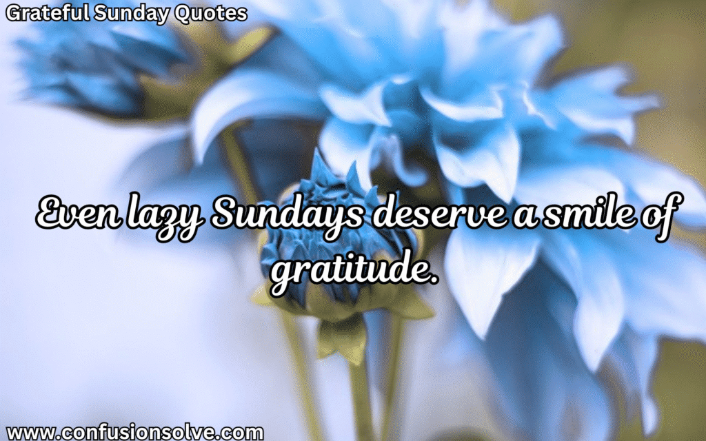 Gratitude in daily life