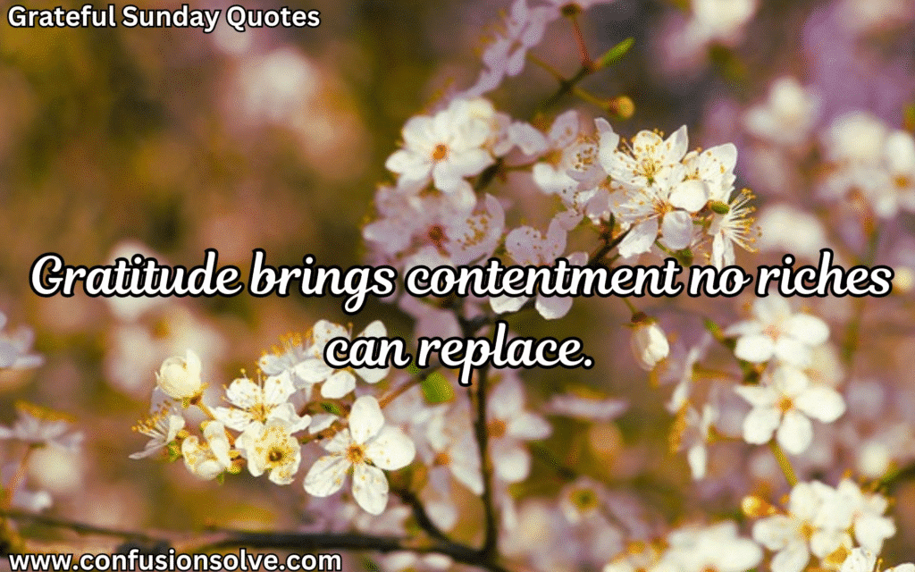 Gratitude quotes