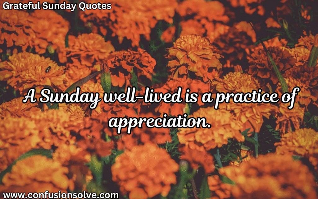 Positive gratitude quotes
