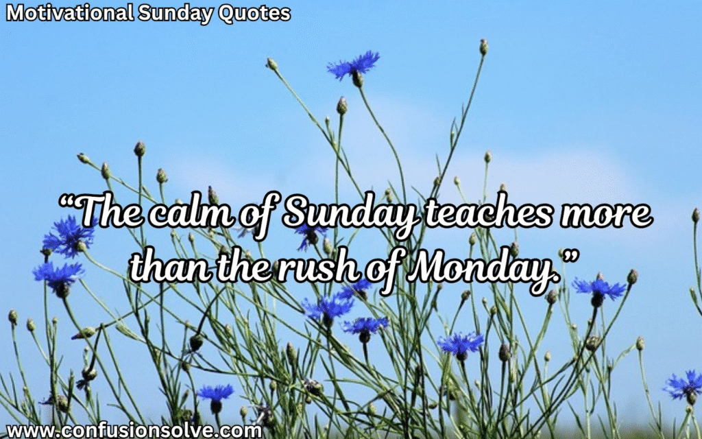 Happy Sunday quotes