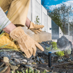 Sea Breeze Lawn Care Charleston SC Lawn Services